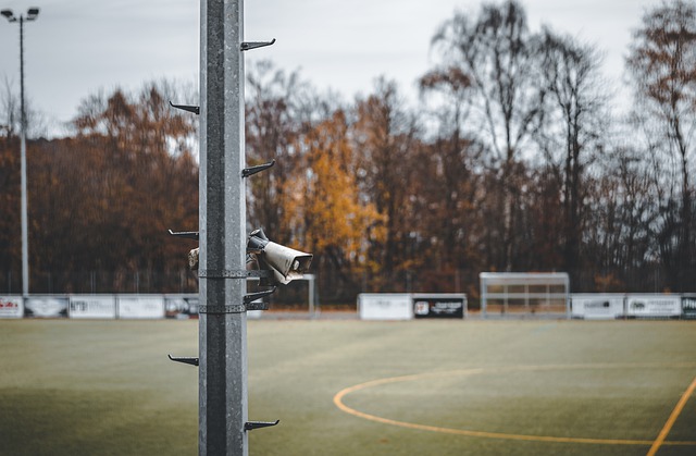 斯图尔特的底特律风格：活塞队打森林狼队被逐出场后的有趣表现.