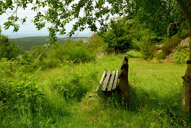 2022年中國足球協會全國女子足球錦標賽分組名單.