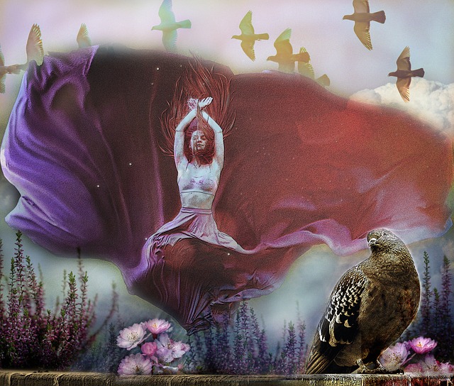 申花vs亚泰首发：4外援PK5外援 新援费南多替补.